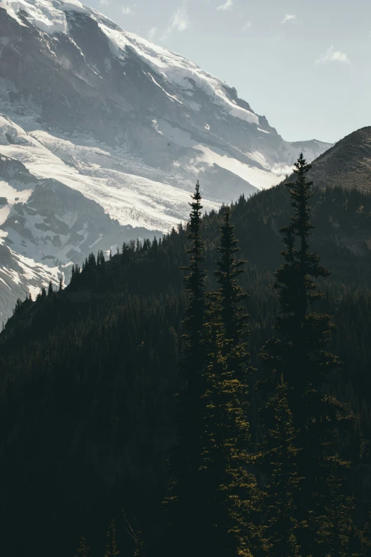 an image of a snow covered mountain side