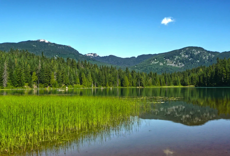 a clear lake in the middle of a green field