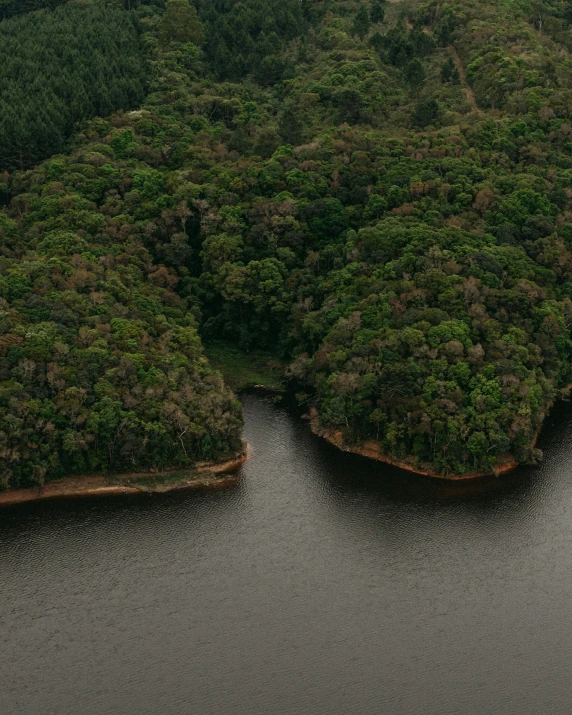 a picture of the aerial view of a green area