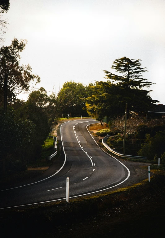 a street curve leads to a road lined with trees