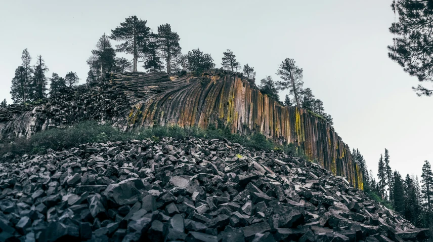 an area where rocks and trees are growing are mostly black