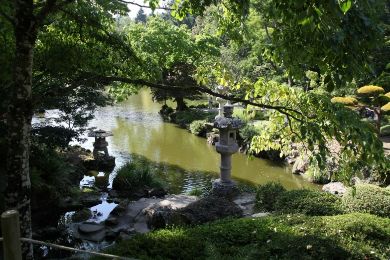 a small pond is situated between two large trees