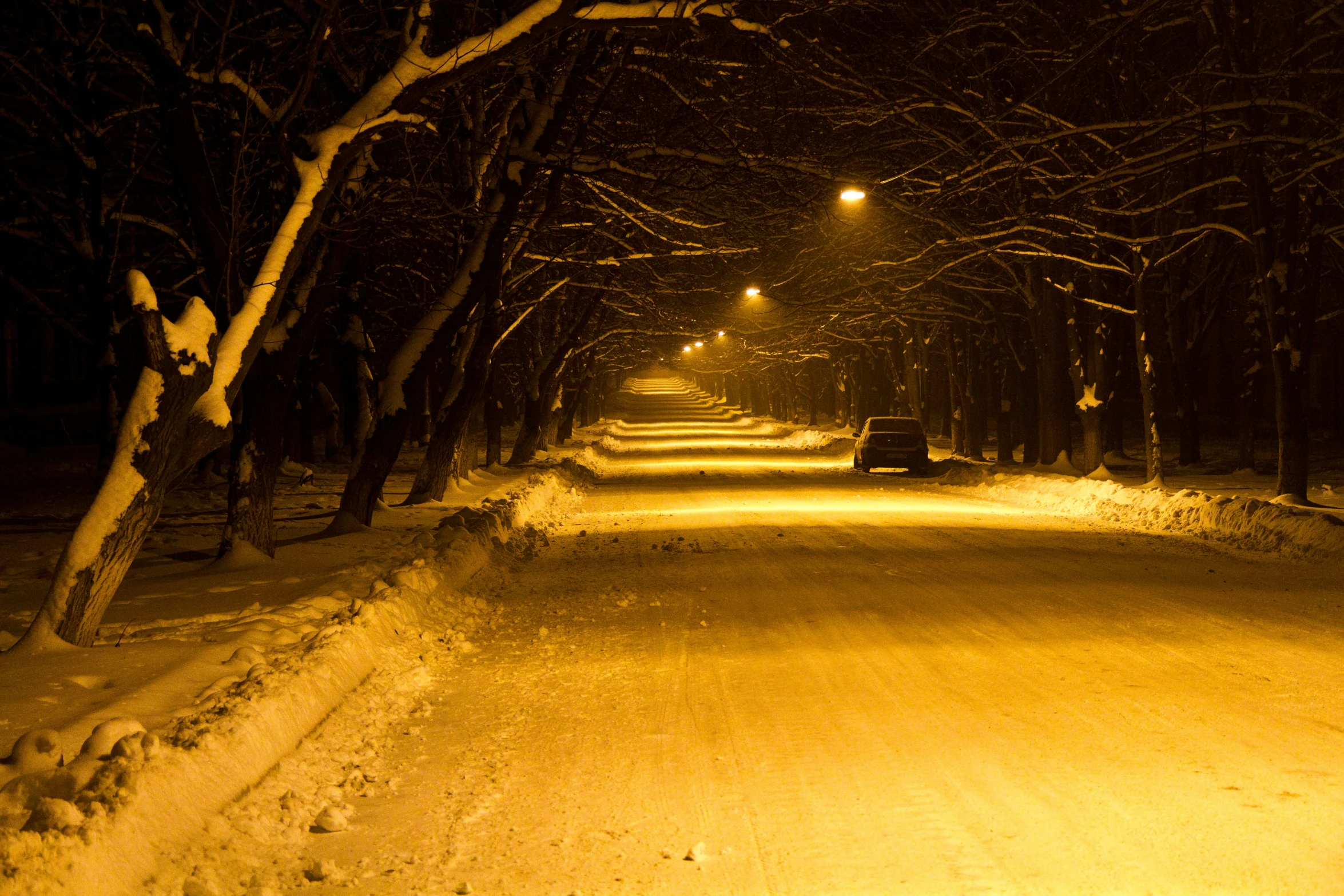 an illuminated snow covered path leading to trees in the night