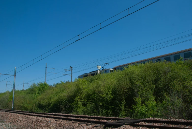 the train is riding on the tracks through the trees