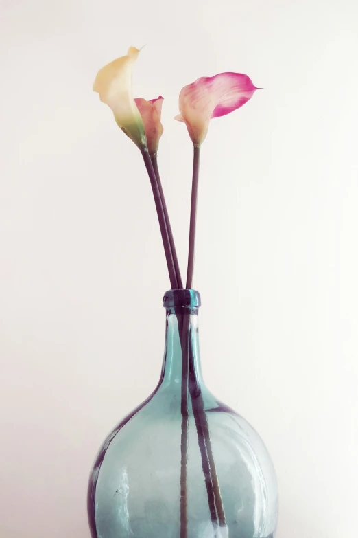 the roses are growing from the top of the glass vase