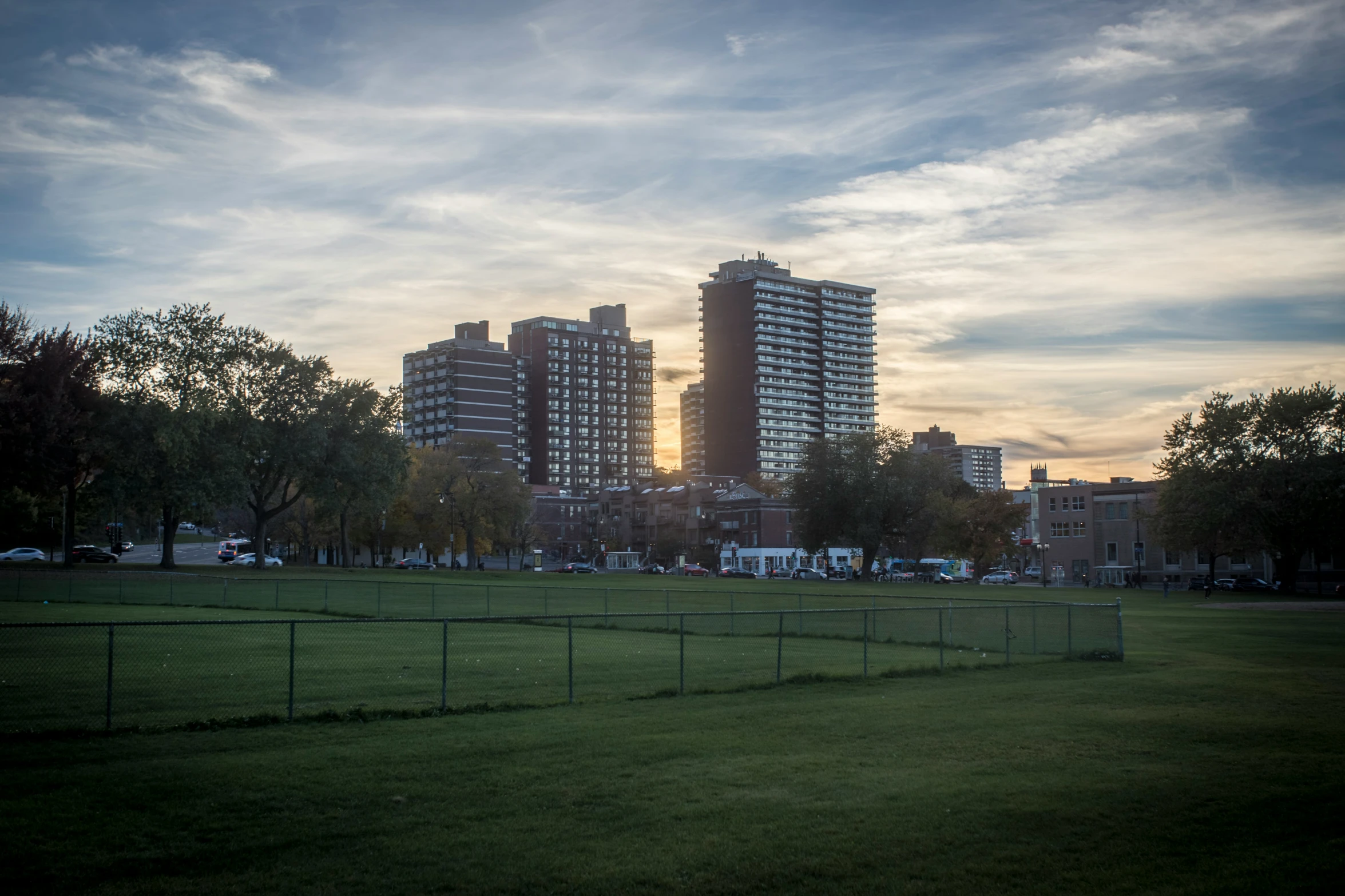 a grassy field with tall buildings on the other side