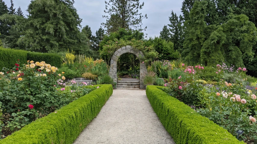 a walkway that leads to several different types of flowers
