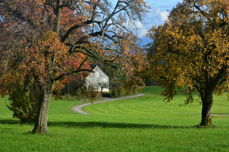 several trees with orange and red leaves near a house