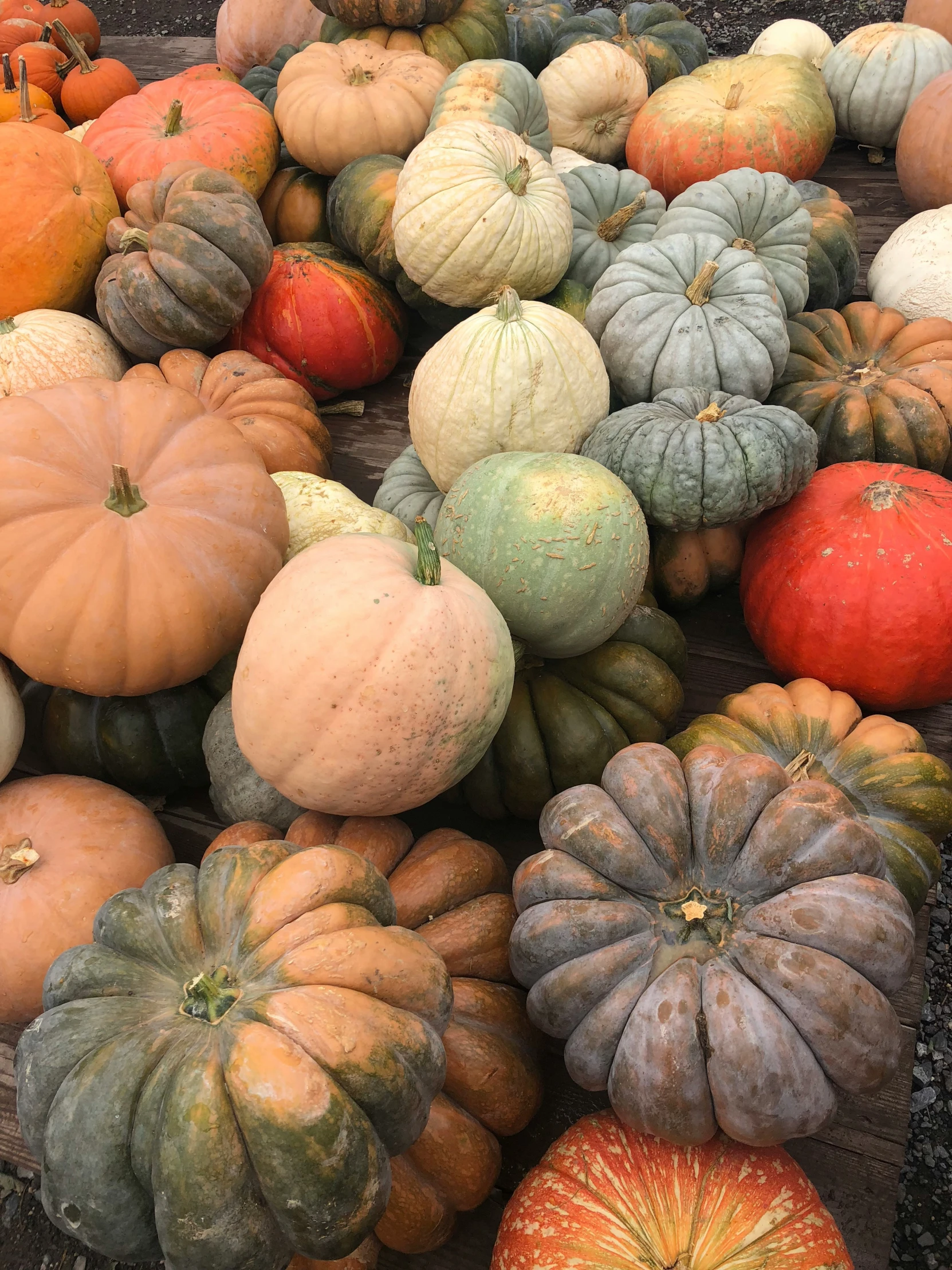 a close up of some gourds near each other