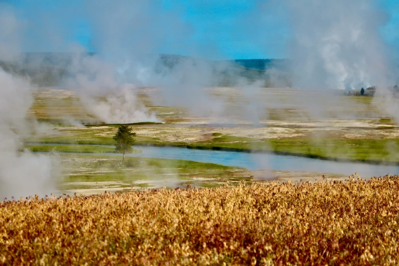 steam rises from a body of water with green grass and a tree nearby