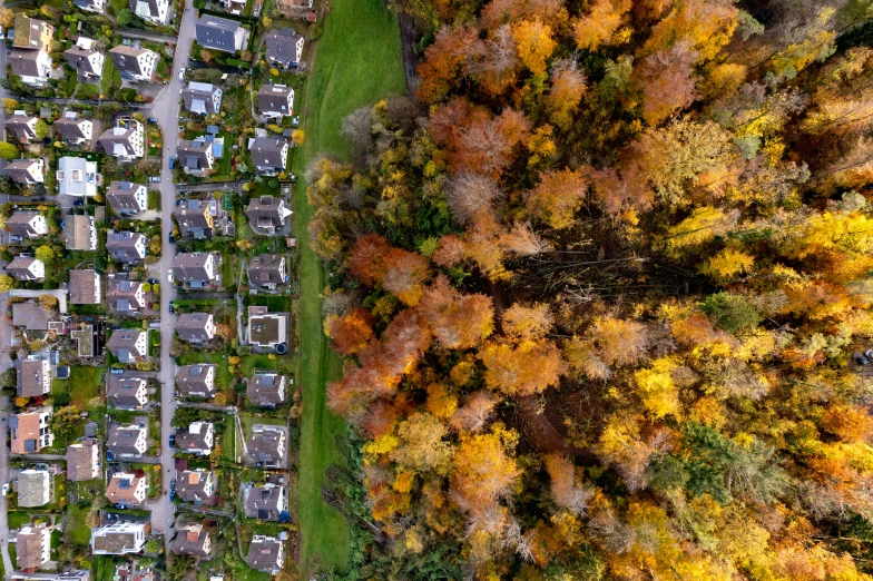 a bird's eye view of a neighborhood and autumn trees