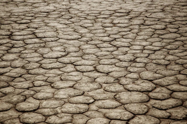 there is some kind of rock that appears to be on this side of the road