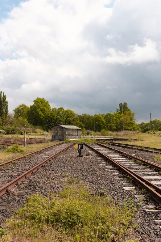 a set of train tracks near some bushes and trees