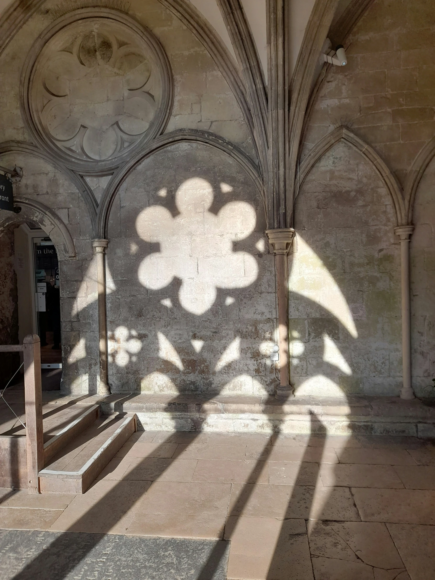 this is a shadow of the flowers and leaves on the wall