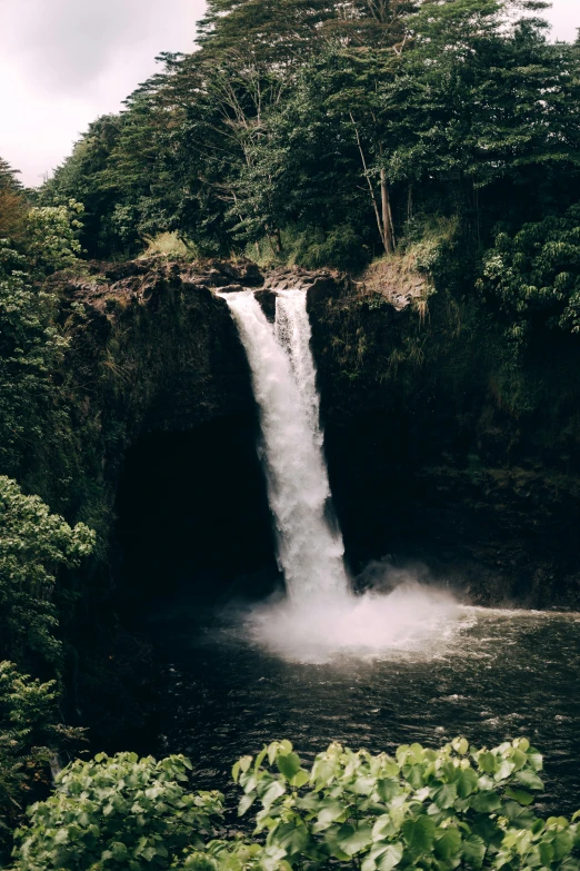 the waterfall is full of water and surrounded by green leaves