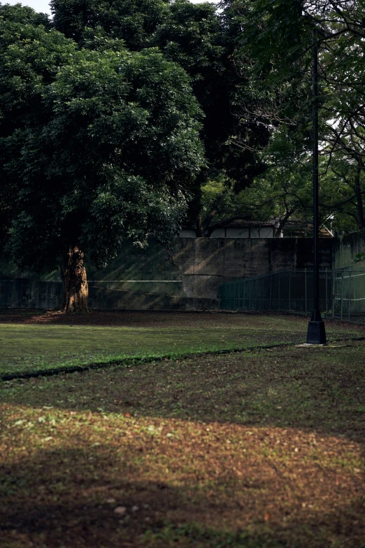 an empty grass field with trees behind it