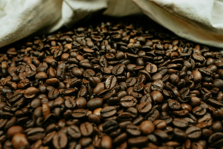 a large pile of roasted coffee beans