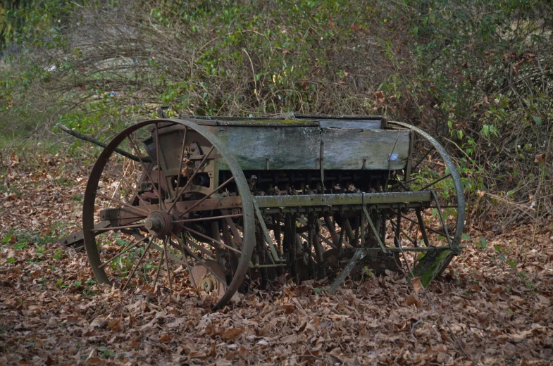 a rusty wagon is sitting in leaves by a trail
