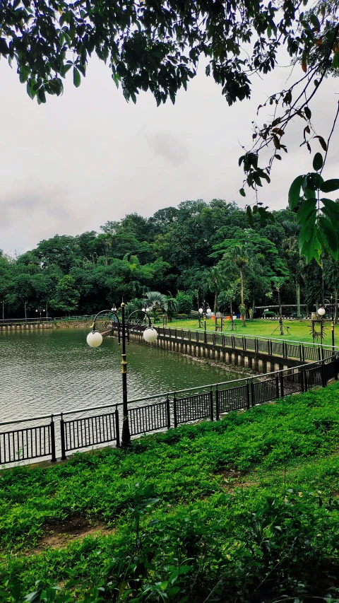 a large lake with benches and umbrellas near trees