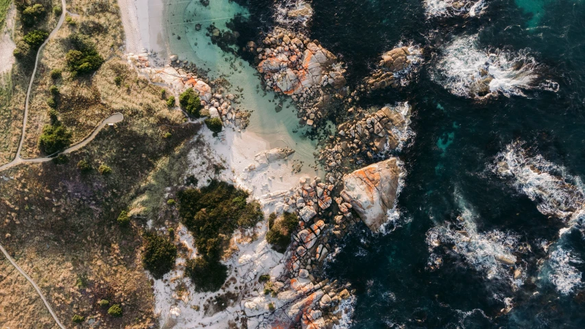 the aerial view of a body of water in an area that looks like a rocky coastline and land, with several trees