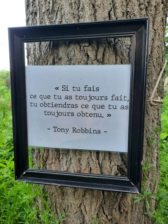 a framed piece of paper next to a tree