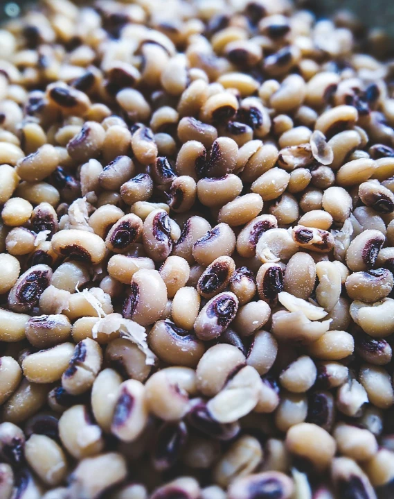 close up of a bunch of seeds sitting together