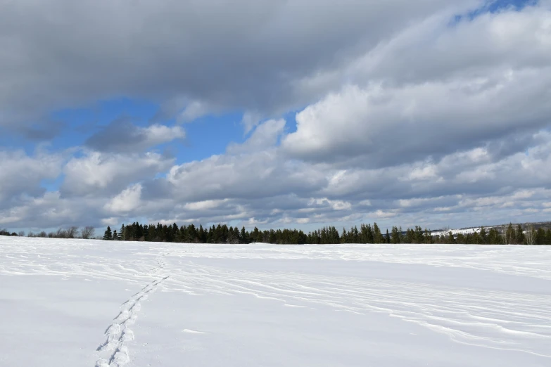 a snow covered field with a few tracks in the middle