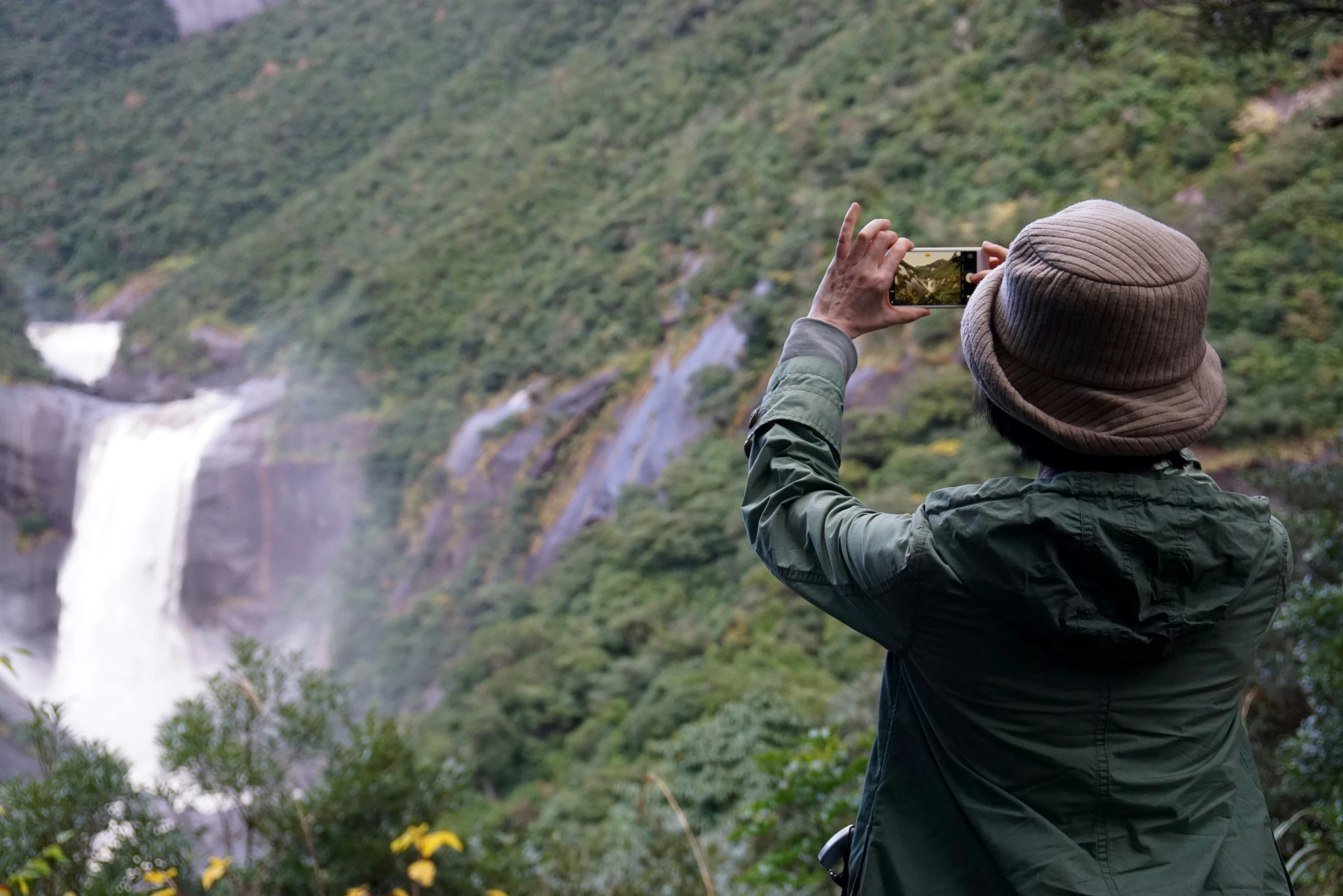 a person standing next to a lush green forest