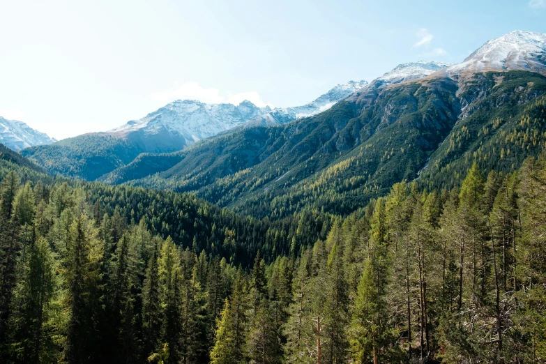 a green field surrounded by mountains and pine trees