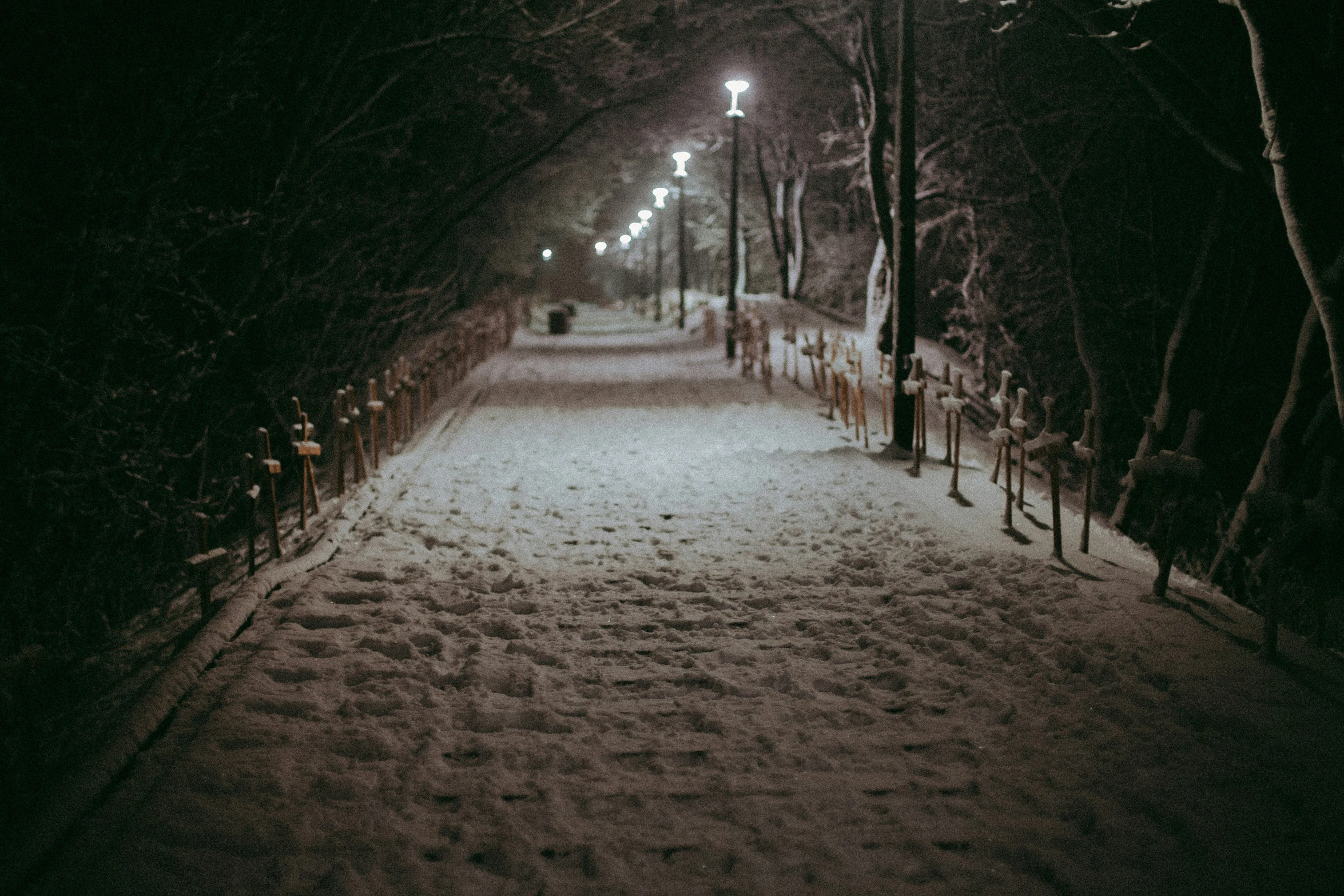 a pathway that has snow on it and trees along side