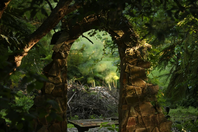 a stone arch is surrounded by many trees