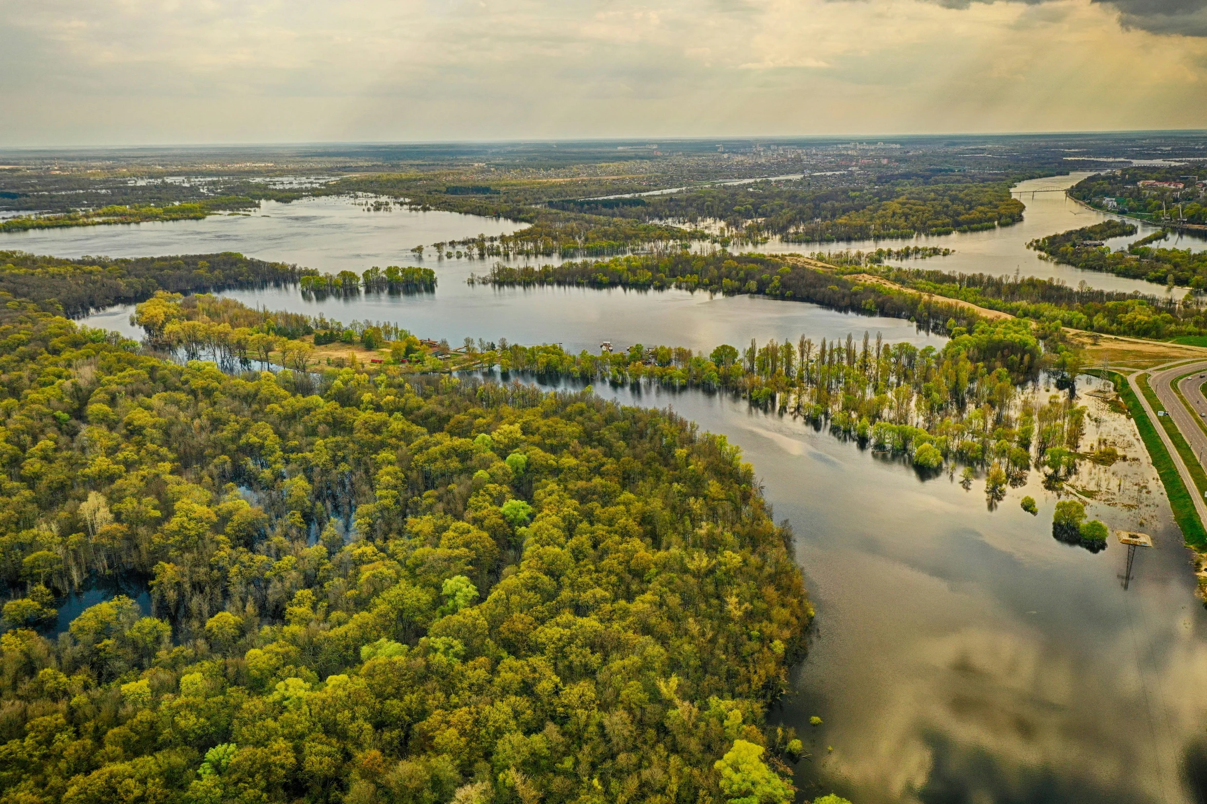 a large body of water surrounded by forest