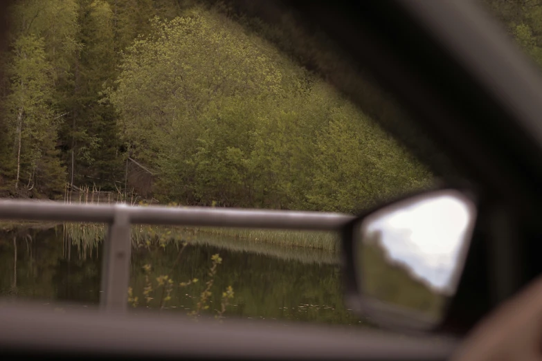 a view out a car window at the woods