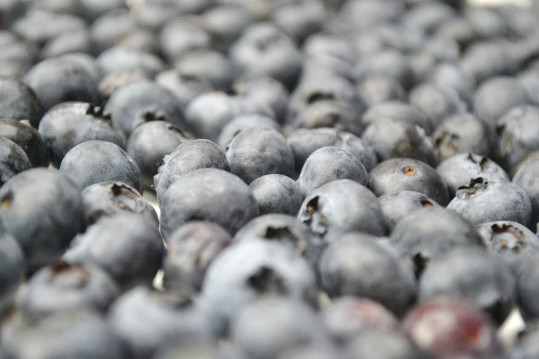 a close up s of blueberries in their piles