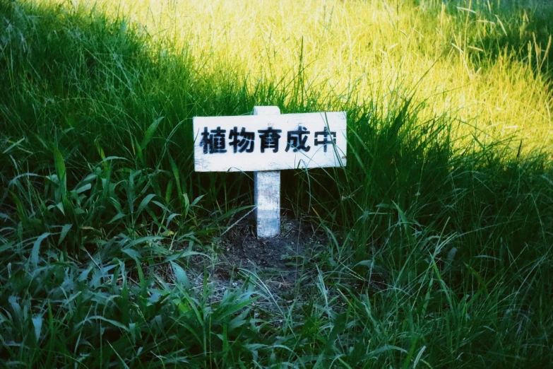 an oriental sign that is sitting in the middle of a field