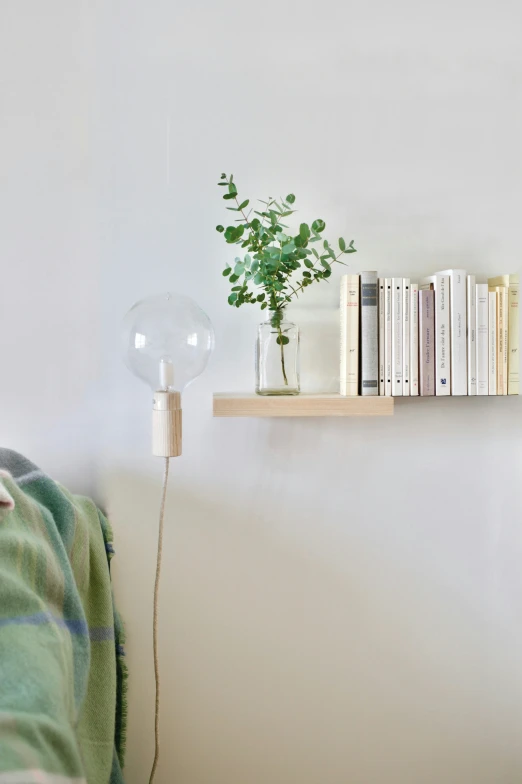 a wall shelf sitting above a bed holding books and a plant