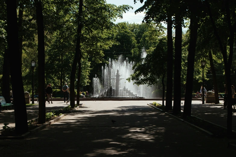 several trees line the sidewalk with a fountain in the background