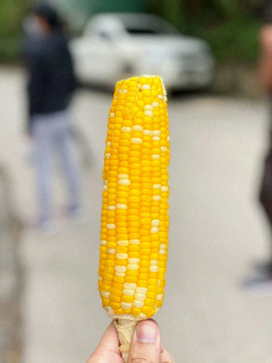 someone holding a corn on the cob in their hand