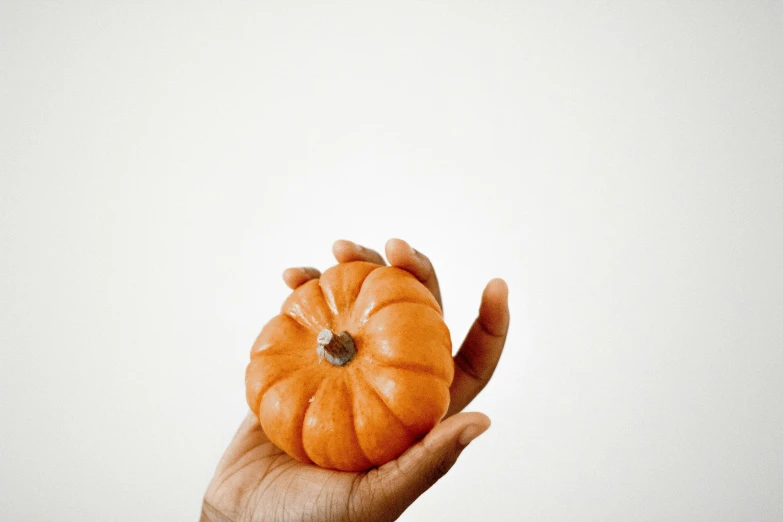 the hand is holding a large decorative pumpkin