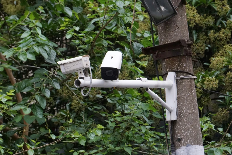 an overhead view of a camera attached to a tree