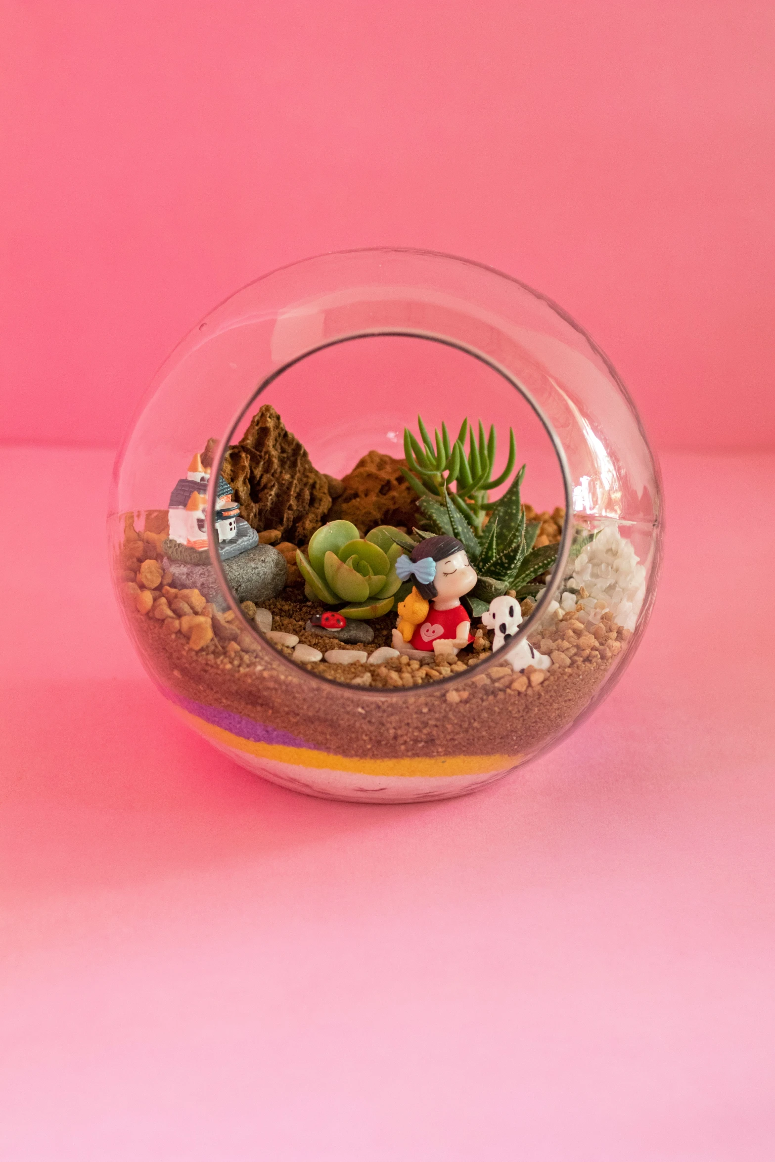 a terrarium with a cactus and other plants inside