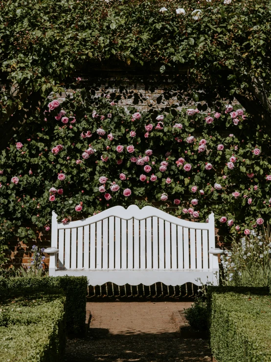 the white park bench has pink flowers near it