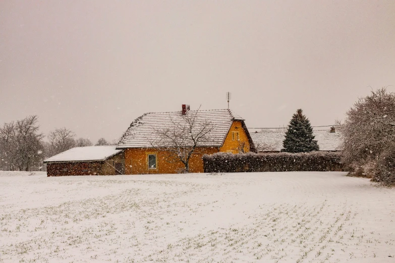 the snow covered landscape features houses and trees