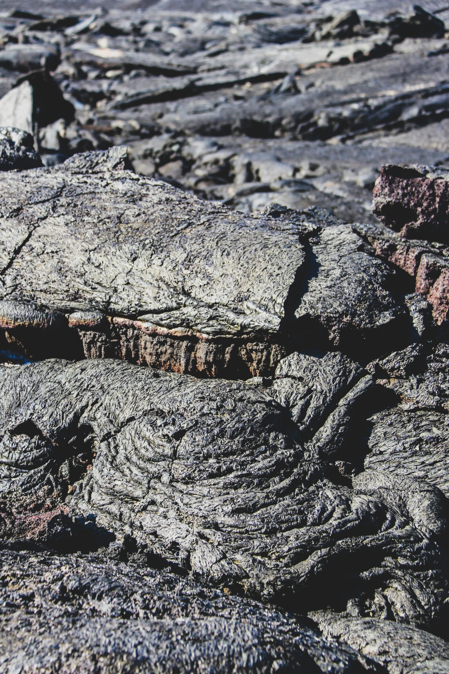 the rocks are gray and brown in color