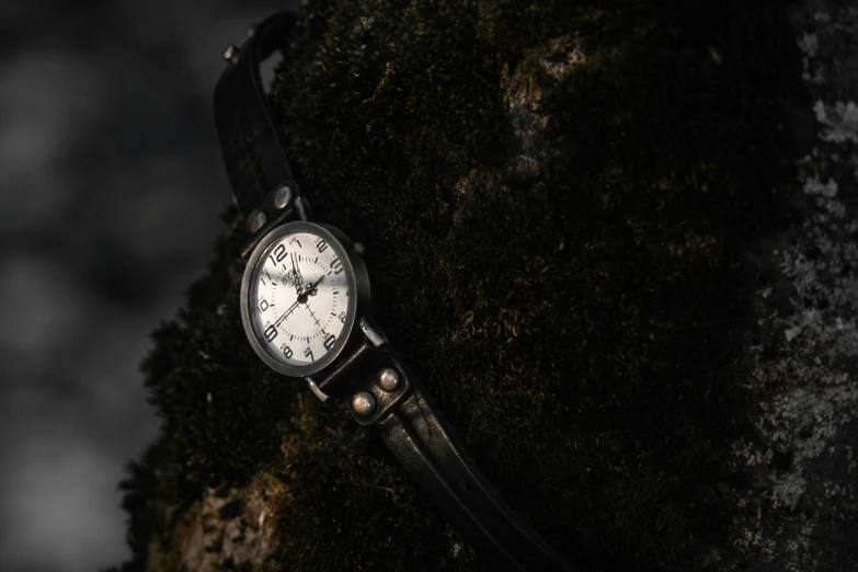 a close up of a watch on some moss