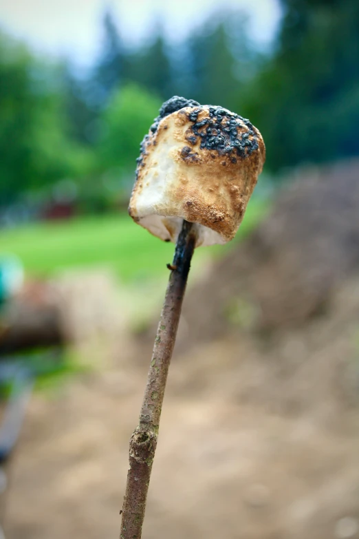 a long stick with a mushroom cap on top