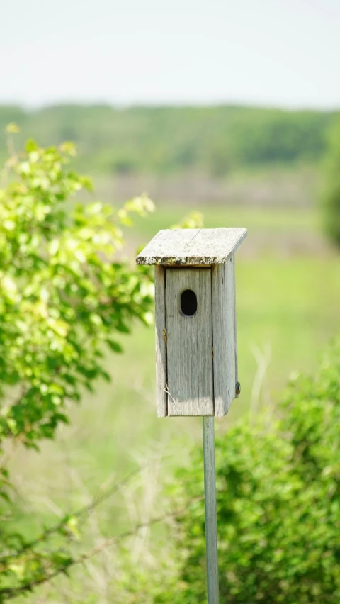 an outdoor birdhouse sitting next to a tree