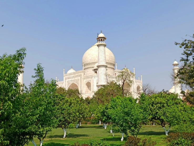 a white building surrounded by green trees