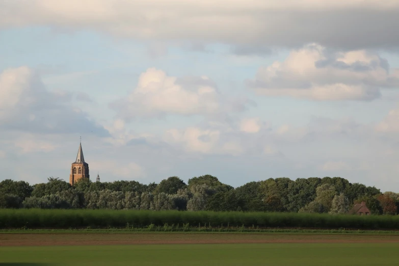 a grassy field has a clock tower in the distance