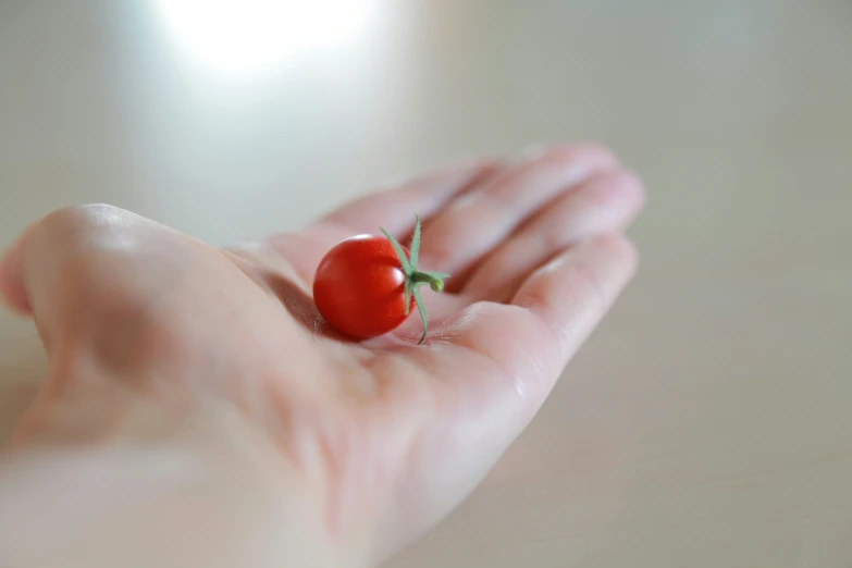 a hand holding a small red object in it's palm